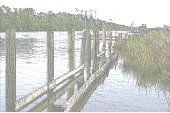 Picture of Bayou Little Caillou at Cocodrie, Louisiana